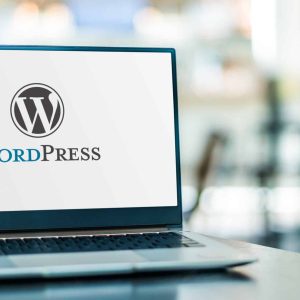 wat is wordpress? | webshop laten maken | webshop laten bouwen